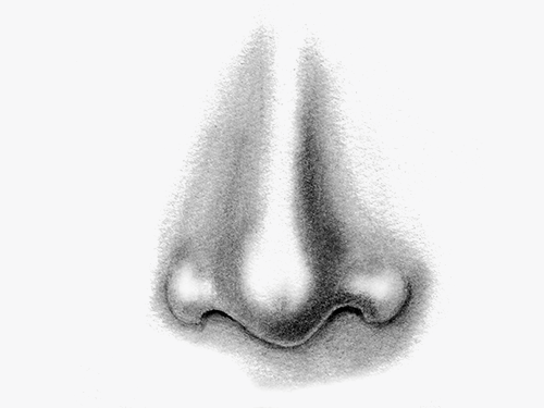 Nose prostheses